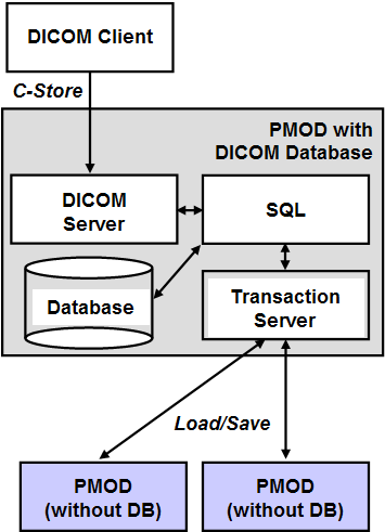 PMOD DICOM Database